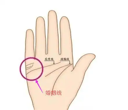 多条婚姻线说明什么?