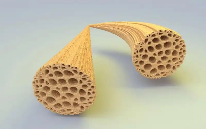 木质纤维素纤维