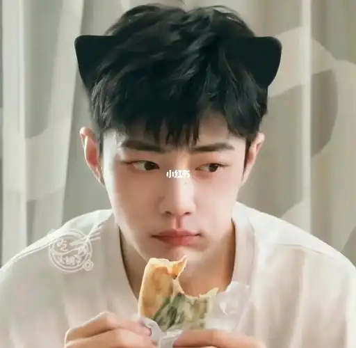 这一对情头_情侣头像_肖战_肖战的小飞侠_素材_头像