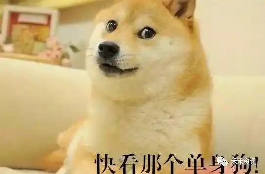 有对象了吗? 这对单身狗来说简直就是直接灵魂的拷问.