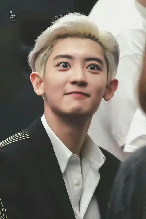 朴灿烈61次心动记录