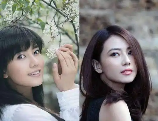 高圆圆的脸型其实是方脸和瓜子脸的结合,她的脸型胜在非常流畅,而她的