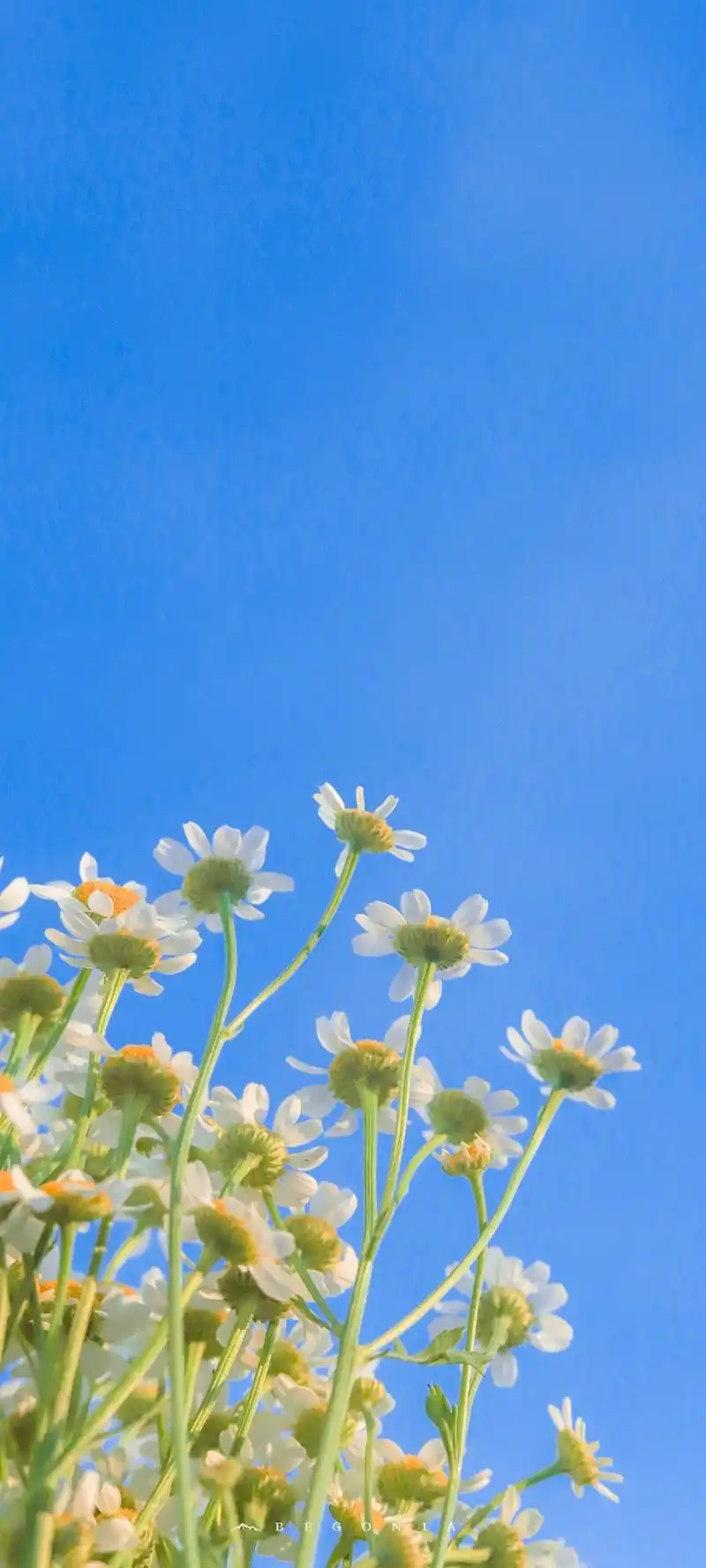 写在笔记本上的治愈系句子,文艺成熟,总有一句适合你