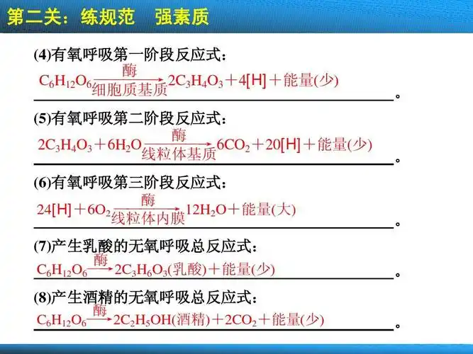 第二关:练规范 强素质 (4)有氧呼吸第一阶段反应式: 酶 c6h12o6
