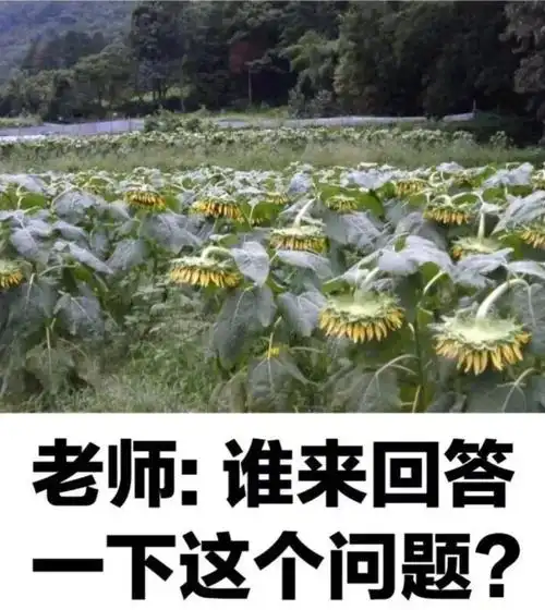 你有哪些让人一看就笑死的图片8