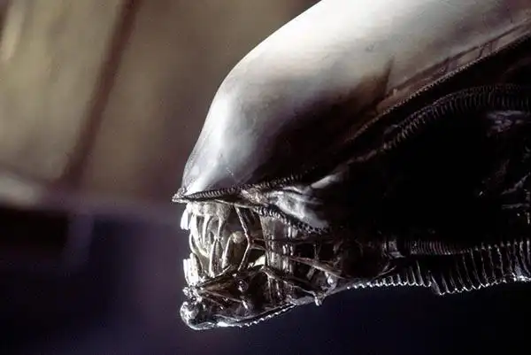 黄蜂麻痹猎物来为后代创造活体食物袋后,才首次想到创造一个异形怪物