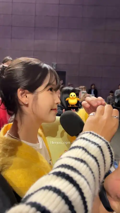 iu李知恩全能艺人