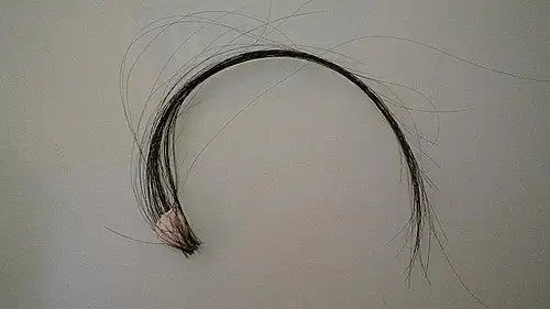 好好的一撮头发就此壮烈牺牲.