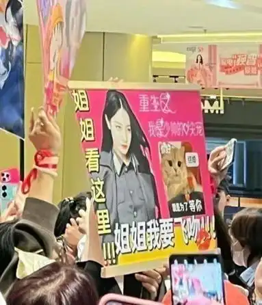 迪丽热巴粉丝活动应援