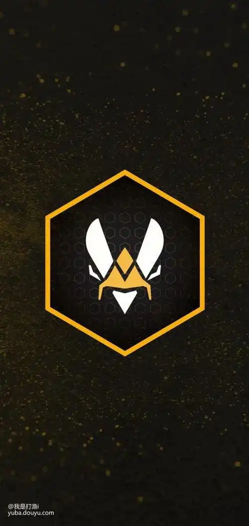 csgo壁纸|小蜜蜂vitality_csgo的鱼吧_斗鱼鱼吧