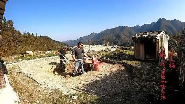 90后农村小伙第一次种油葵,开花的时候没有打农药,现在打还好吗