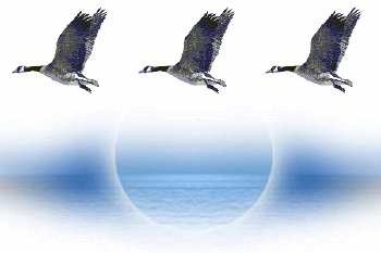 350_233gif 动态图 动图