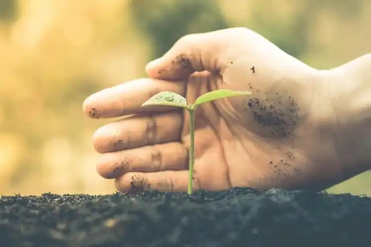 2022年8月4日微生物菌剂恢复土地肥力的最后救命稻草央视专题报道