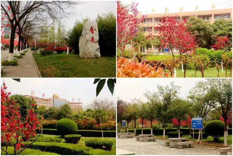 富平县蓝光中学高三开学顺利秩序良好