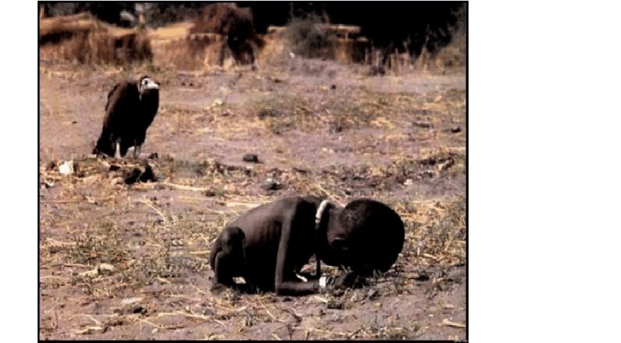 世界上最悲惨的19张照