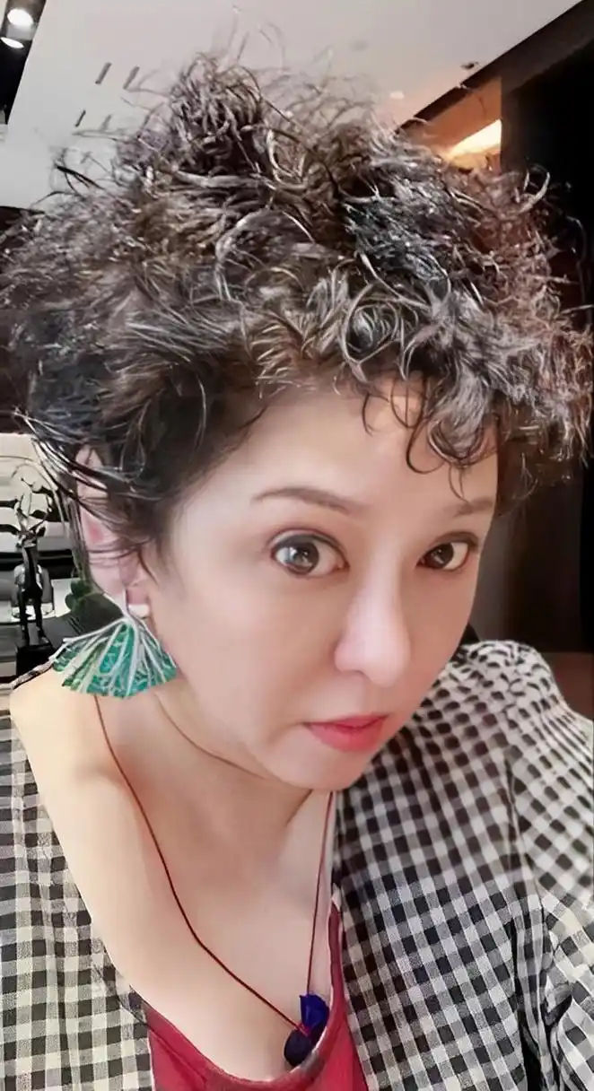 当他看到网友们对向泰陈岚直播的评论时,句句属实,句句让他脊背发凉!