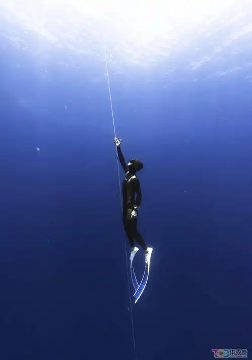 温州自由潜水2