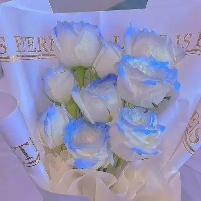 蓝玫瑰背景图浪漫至死不渝