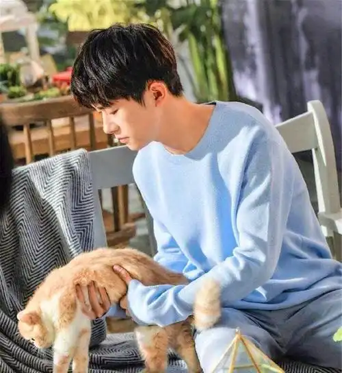 易烊千玺与橘猫互动举止十分温柔暖化粉丝的心
