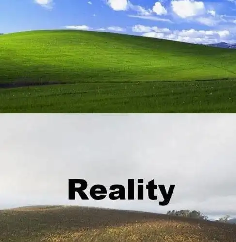 梦想与现实的差距很伤人(组图)