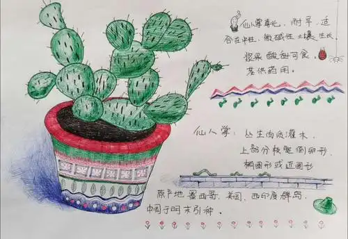 "桥西教育疫情防控"之建胜路小学|绿色环保活动——我爱植物妈妈