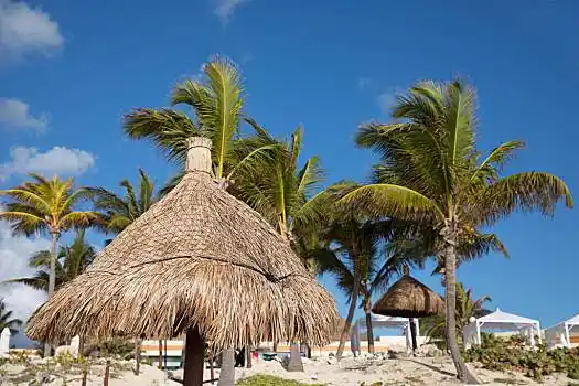 热带,海滨地区,棕榈树,白沙,蓝色,海洋,墨西哥