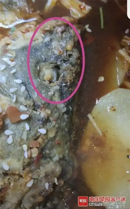13老头一人05上面05下感扇贝学校食堂烤鱼现蛆虫 官方:情况属实