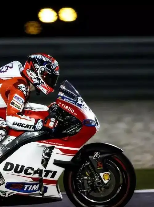 骑士精神无水印图赏