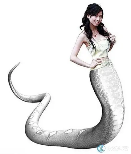 美女蛇的图片美女蛇真人版写真图片