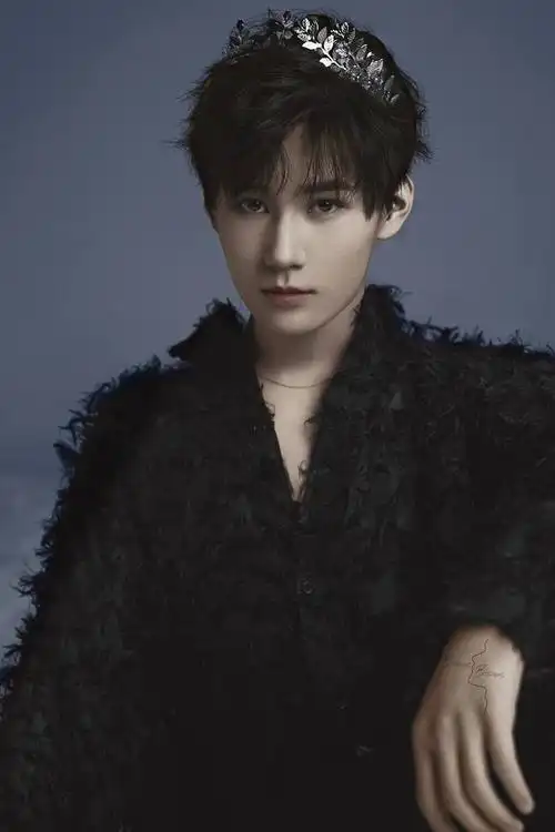 2020结束了总结汇总一下张真源的top神图