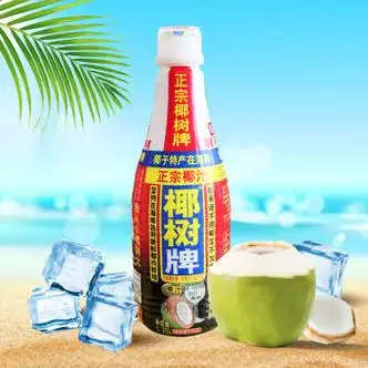 椰树 椰汁正宗椰树牌椰子汁1.25l/瓶家庭装海南特产 1.25l*2瓶
