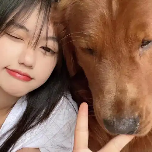 对象不是人系列情头70