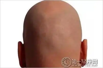 象征不忠不义之人的"反骨"到底长什么样