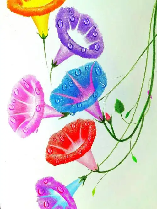 彩铅画零基础不看就会后悔的超详细视频