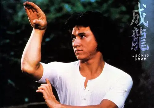 香港电影前十武打明星,李小龙只能排第三,第一另有其人_成龙