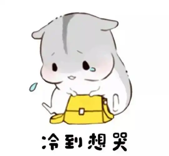 仓鼠表情包:冷到发抖了