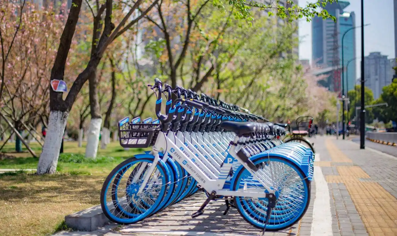 企业按考核排名增减车量 全市共享单车服务质量将实行季度考核机制