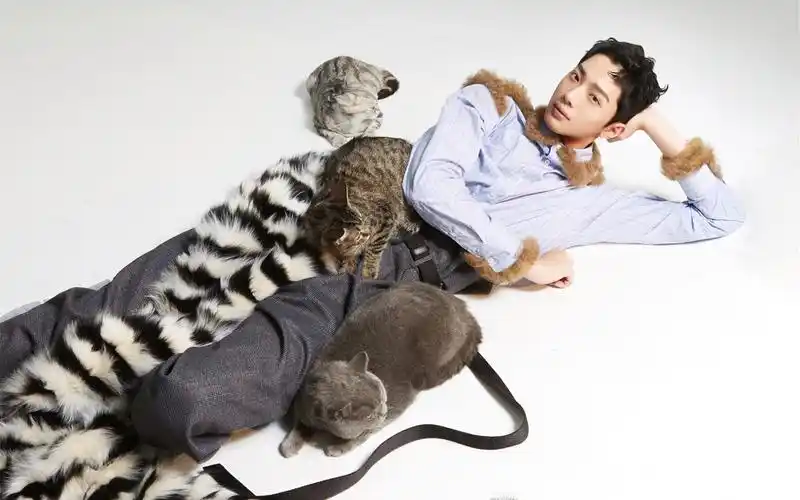 赖冠霖慵懒帅气写真图片桌面壁纸