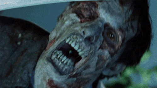 500_282gif 动态图 动图