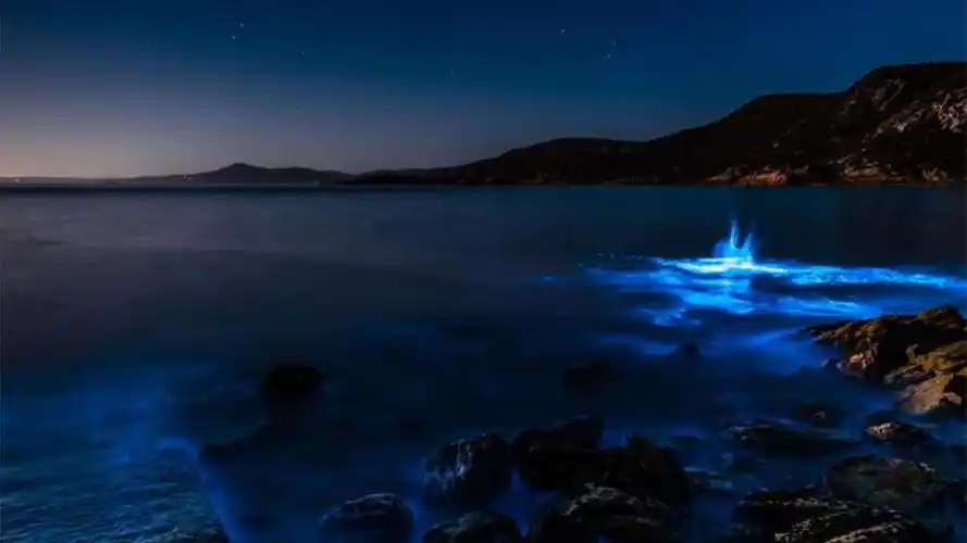 塔州北部现荧光海滩 摄影师蜂拥而至