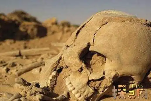 揭秘罗布泊为什么恐怖生化丧尸巨型食人蜥蜴尸骨遍地3