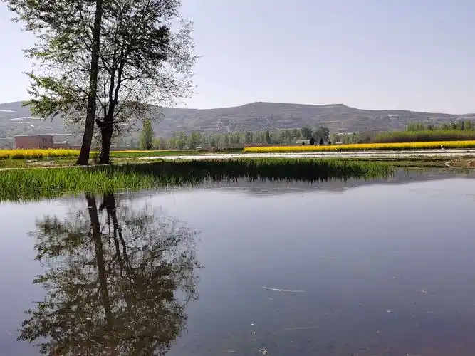 20年5月3日,与志武等4人同骑过首阳,莲峰至首阳山(又名莲峰山或马鹿