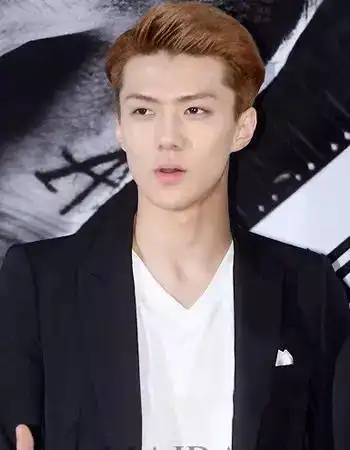 男生无刘海发型 一款帅气的狼奔头发型,将时尚的发丝倒梳然后打造出