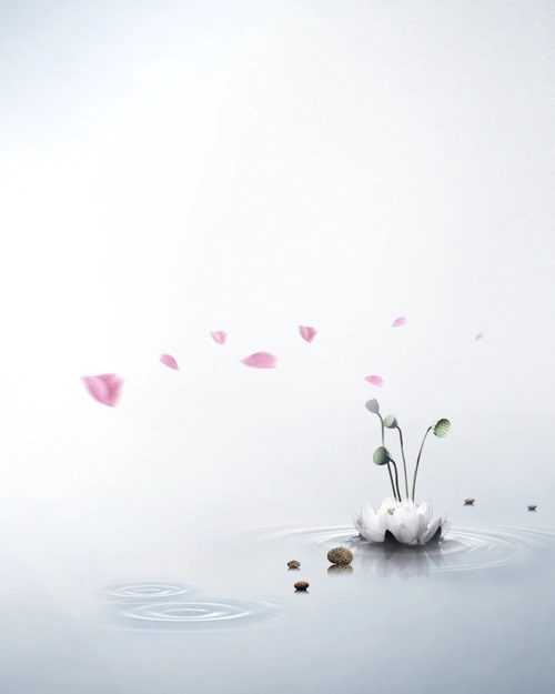 养生海报背景素材