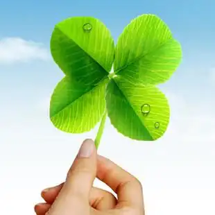四叶草幸运头像