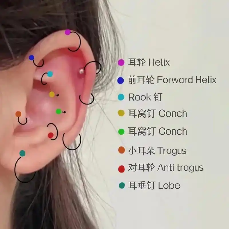 【 耳钉位置参考图 】 如果不清楚耳朵部位名 - 抖音