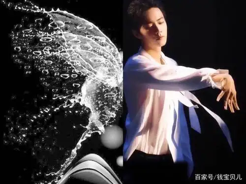 肖战,藏好你的翅膀