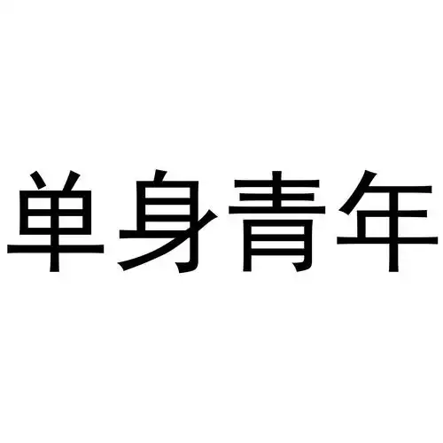 单身 em>青年 /em>