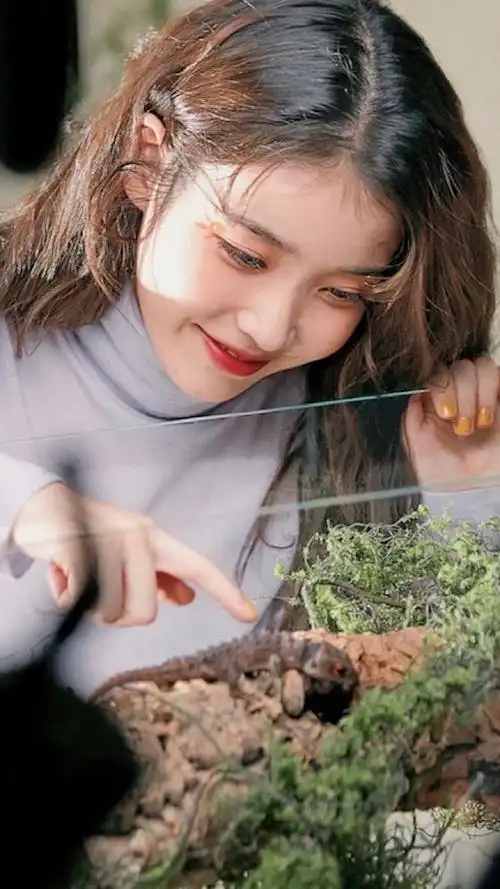 李知恩iu温柔性感写真手机壁纸