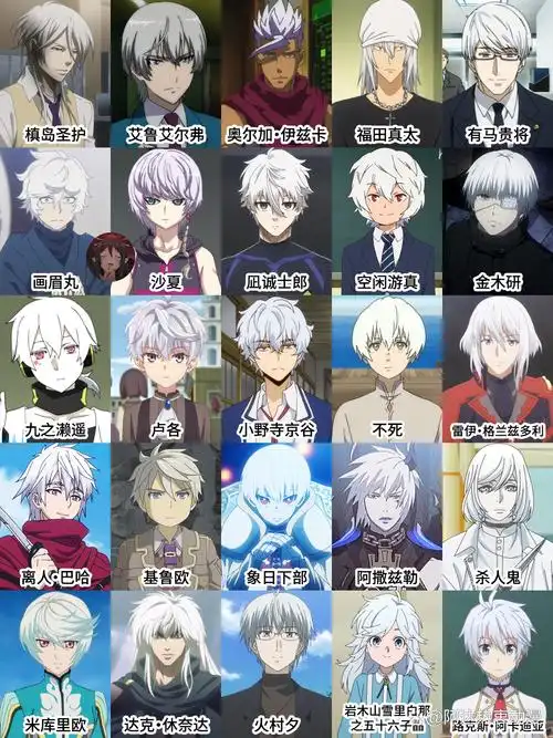 菜月昴  那个白发飘飘,英勇无畏的日漫最帅的10位男主角动漫十大